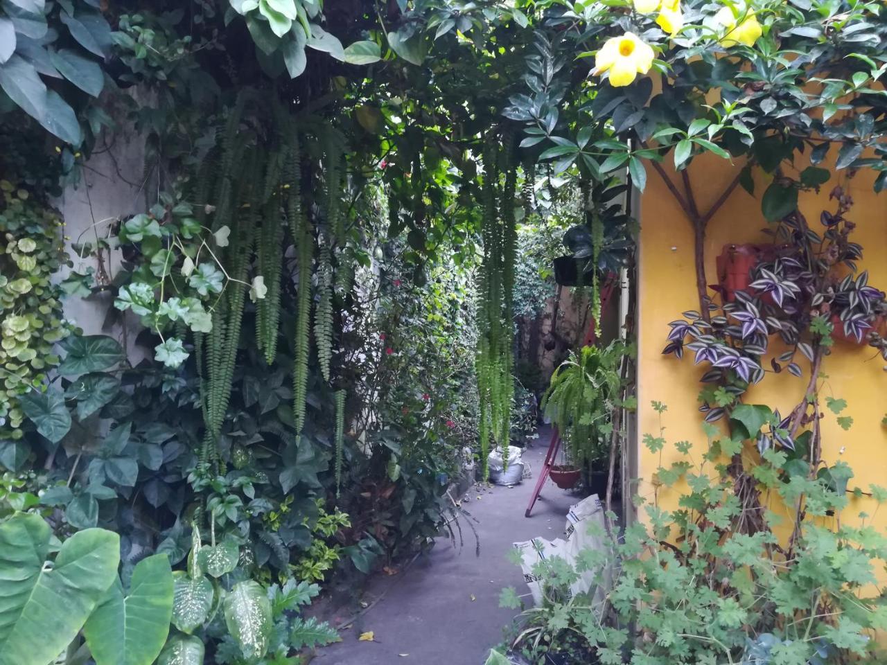 危地马拉安地瓜Casa Moka住宿加早餐旅馆 外观 照片